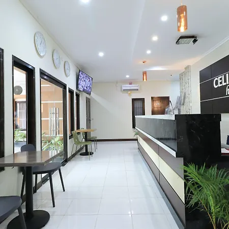 Hotel Celia-3
