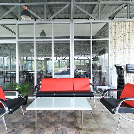 Hotel Celia-2